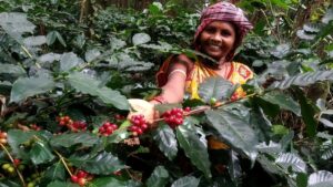 A taste of Odisha at BRICS Summit: Koraput coffee given to global delegates