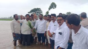Farmers in Vizianagaram district bear the brunt of incessant rain