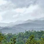 Keralam to argue for restricting ESA to 98 villages and 8,590.69 sq km