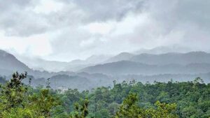 Keralam to argue for restricting ESA to 98 villages and 8,590.69 sq km