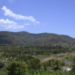No provision in Forest Rights Act to obtain gram sabha consent for projects, Tribal Affairs Ministry says