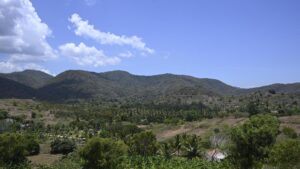 No provision in Forest Rights Act to obtain gram sabha consent for projects, Tribal Affairs Ministry says