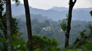 Homestay: Charting a smooth path for hosts & guests in Karnataka