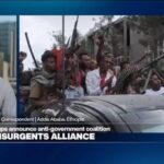 Ethiopian armed groups announce anti-government alliance