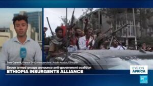 Ethiopian armed groups announce anti-government alliance