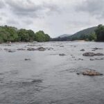 Karnataka directed to release 6,000 cusecs of water a day to Tamil Nadu