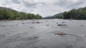 Karnataka directed to release 6,000 cusecs of water a day to Tamil Nadu