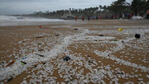 Study on Keralam ELSA-3 shipwreck shows persistent nurdle pollution, evolving ecological impacts
