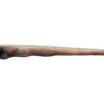 New eel species described from Arabian Sea, named after CMFRI