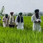 Farmers’ union to mobilise one million ‘swayamsevaks’ to fight trade deals