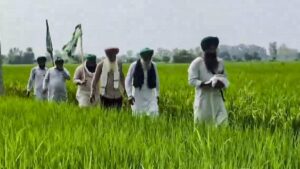 Farmers’ union to mobilise one million ‘swayamsevaks’ to fight trade deals