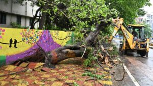 Relief work picks up in Visakhapatnam; first flood warning on Nagavali and Vamsadhara