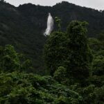 ESA protests driven by ‘hidden agenda’, allege environmental groups