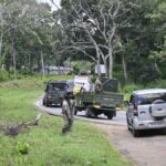 Tiger that killed two people in O’Valley in Gudalur captured