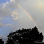 Welcome showers greet devotees ahead of Garuda Seva in Tirupati on Sept. 19
