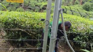 Idukki Collector orders removal of unauthorised barriers obstructing wildlife movement