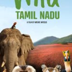 Documentary on wildlife in Tamil Nadu to be screened from Monday
