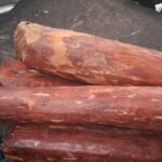 Police seized 350 kg of red sanders in Tiruvannamalai