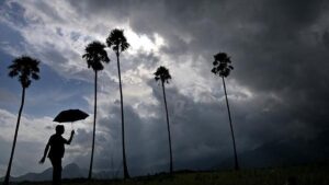 Wayanad monsoon crisis: rainfall deficit hits 37% amid El Niño impact