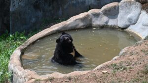 Debate rages over plan to shift Thiruvananthapuram zoo in Keralam